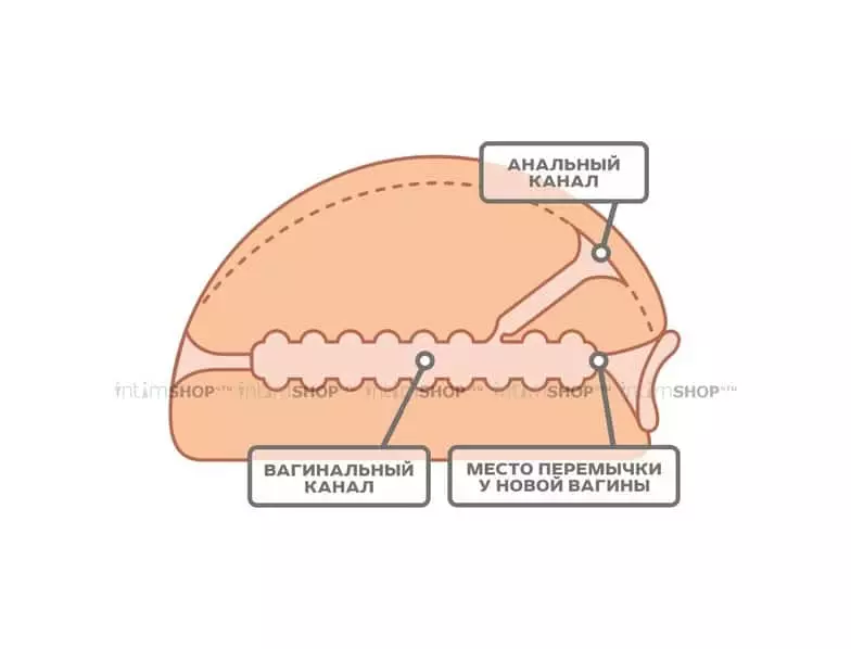 Полноразмерный мастурбатор Интимная Жизнь вагина + анус, телесный